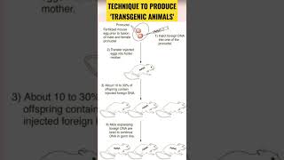 Pronuclear MicroInjection method transgenicanimals youtubeshorts shorts biotechnology [upl. by Chryste]