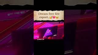 My dream free fire sports 🔥🔥🔥❤️❤️ [upl. by Sudoeht]