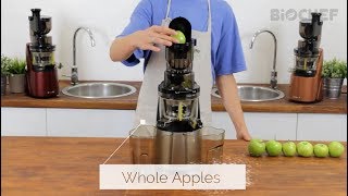 BioChef Quantum Whole Slow Juicer [upl. by Dnomrej]