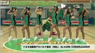 恋するフォーチュンクッキー NBL20132014シーズンハイライト Ver  AKB48公式 [upl. by Efinnej]