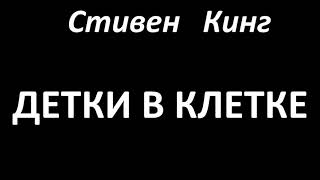 Стивен Кинг  Детки в клетке читает Руслан Медынский аудиокниги мистика [upl. by Asir89]