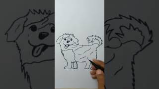 Tutorial Of Maltipoo Dog [upl. by Crofoot]