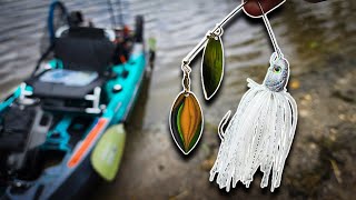 The Spinnerbait Is Crazy Good for Bass Right Now Spring [upl. by Dom199]