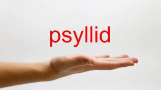 How to Pronounce psyllid  American English [upl. by Luke]