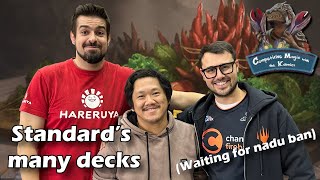 Episode 85 Bloomburrow Standard’s Many Decks [upl. by Ulyram]