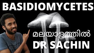 basidiomycetes  malayalam kingdom fungi  basidiocarps  basidiospores biological classification [upl. by Schwerin]