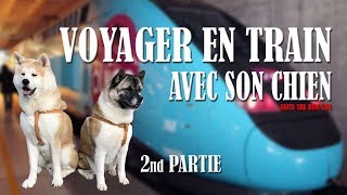 VOYAGER EN TRAIN AVEC SON CHIEN 2nd PARTIE [upl. by Ulrike]