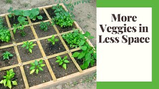 Square Foot Gardening 101 Small Space Self Sufficiency [upl. by Ranjiv]