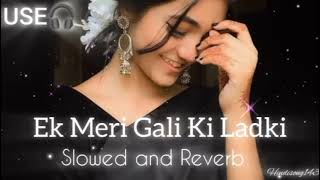 Ek Meri Gali Ki Ladki Chupke Se dil Le Gayi SlowedReserb Lofi Song lofi Logisong12 [upl. by Hseyaj]