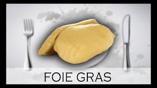 LE FOIE GRAS  UN ORGANE MALADE  À Votre Table 28 [upl. by Jason997]