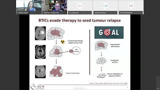 031 Therapeutic Targeting of Self Renewal of Medulloblastoma Stem Cells Strategies [upl. by Major]