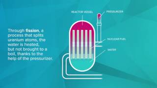 How to make nuclear energy using a pressurized water reactor [upl. by Monro644]