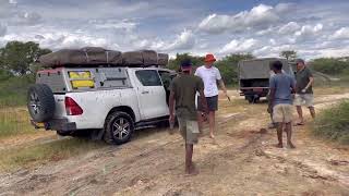 Rescue Mission at Moremi Game Reserve [upl. by Girard]