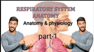 Respiratory system anatomy and physiologypart1bsc nursinggnmneet video trending shorts [upl. by Estey]