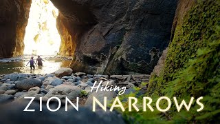 Zion National Park Hiking The Narrows [upl. by Sema]