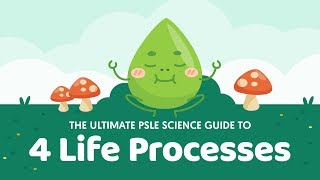 The Ultimate PSLE Science Guide To 4 Life Processes [upl. by Esimaj954]