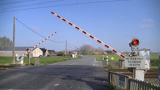 Spoorwegovergang Hazebrouck F  Railroad crossing  Passage à niveau [upl. by Labanna]