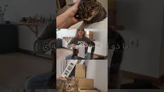 زندگی با دو تا گربه چجوری؟ vlog cat [upl. by Waki]