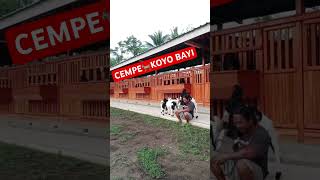 CEMPENE KOYO BAYI shortvideo [upl. by Amaerd936]