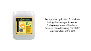 FloraLife® Express Clear Ultra 200 for the UK [upl. by Aisena]