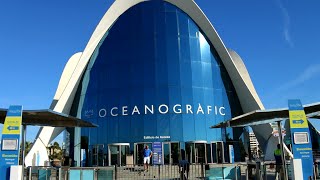 Valencias Oceanografic  Europes largest aquarium HD [upl. by Carrew]