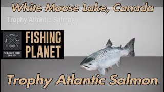 Fishing Planet Trophy Atlantic Salmon White Moose Lake Canada [upl. by Tumer408]