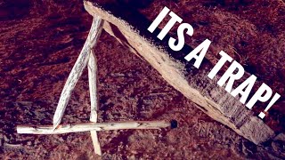 Making a Figure 4 Deadfall Trap Step By Step Primitive Trapping [upl. by Valdis]