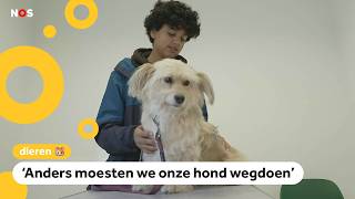 Dierenartsen worden steeds duurder [upl. by Ettesyl]