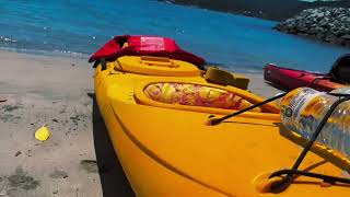 Whitsunday Half Day Kayak Tour [upl. by Lisabeth]