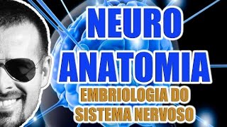 Embriologia do Sistema Nervoso Central e Periférico  Neuroanatomia  VideoAula 069 [upl. by Anailli924]