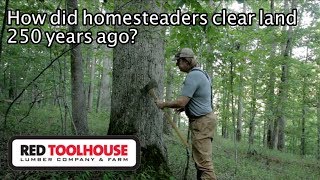 Ep156 Homestead History  How did early settlers clear land [upl. by Ahola228]