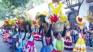 SEGUNDO DESFILE DE DELEGACIONES 2022  GUELAGUETZA 2022  OAXACA LO TIENE TODO [upl. by Chladek275]