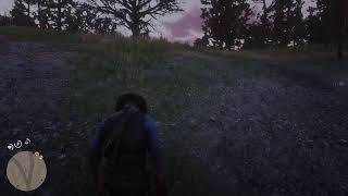 Red Dead Redemption 2  100 Completion Stream [upl. by Ginelle359]