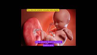 Le placenta durant la grossesse maman bebe grossesse enceinte placenta [upl. by Enilekcaj]