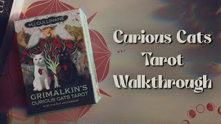 Grimalkins Curious Cats Tarot 🐈 First Impressions [upl. by Susumu]