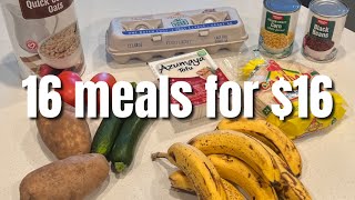 16 Meals For 16  Simple Ingredient Budget Friendly Vegetarian Meals  Eat Healthy For Cheap [upl. by Yelahs627]