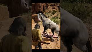 Horse gone Mad in Red Dead Redemption 2 rdr2 mods [upl. by Dobbins135]