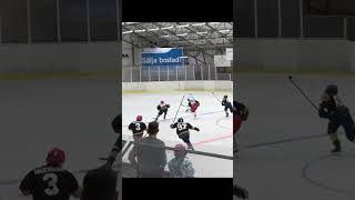 First Hockey Game Abroad Sweden Hockey Goal Highlights [upl. by Yentterb]