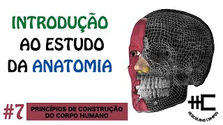 PRINCÍPIOS DE CONSTRUÇÃO DO CORPO HUMANO [upl. by Karly]