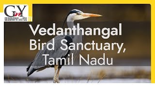 Vedanthangal Bird Sanctuary Tamil Nadu  Bird Sanctuary in Tamil Nadu [upl. by Kolivas]