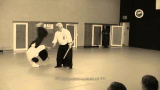 Aikidoseminar Lünen Mai 2014 [upl. by Notsrik]