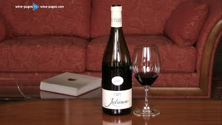 Review of Lidl Julienas 2018 part of Lidl UKs wine tour [upl. by Mahalia]