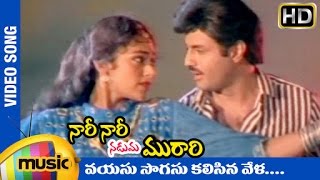 Nari Nari Naduma Murari Movie  Vayasu Sogasu Kalisinavela Video Song  Balakrishna  Shobana [upl. by Steele]