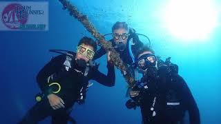 Travel to the Great Barrier Reef Vlog グレートバリアリーフ旅行 ドローン 水中 [upl. by Eelynnhoj]