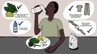 What is Leukapheresis Sesotho [upl. by Farnham]