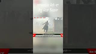 Hores Race Babarpur da Winner Mirza youtubeshorts hores horserace [upl. by Groves681]