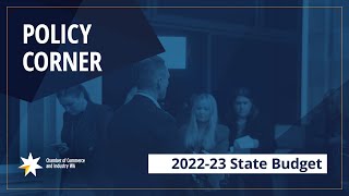 Policy Corner  CCIWA Chief Economist Aaron Morey on the 202223 State Budget [upl. by Krongold]