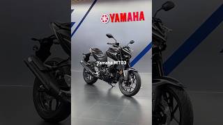 Yamaha MT 03 [upl. by Htiduj562]