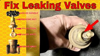 Fix Leaking Water Valve  Packing Nut Tips amp Tricks [upl. by Ardnnek]