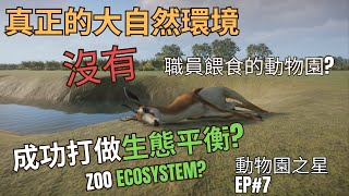 不照顧不餵食  大自然環境  生態平衡  動物園之星 Planet zoo  EP7 [upl. by Ahsiken]